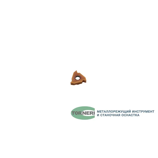 Пластина твердосплавная 22IR5.00ISOA TP9125B t027103  (Фото 2)