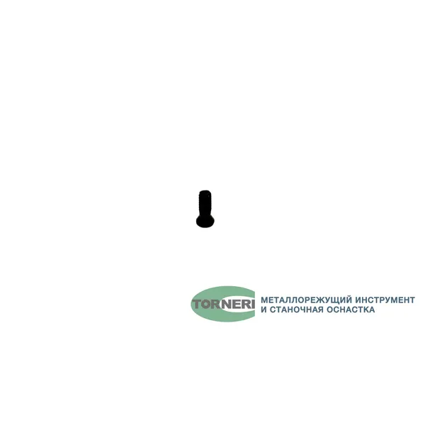 Винт М 2.0х6.0 для крепления пластин к державкам t027111  (Фото 2)