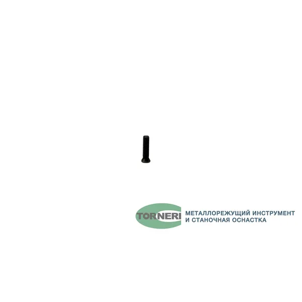 Винт М 3.0х12 для крепления пластин к державкам t027119  (Фото 2)