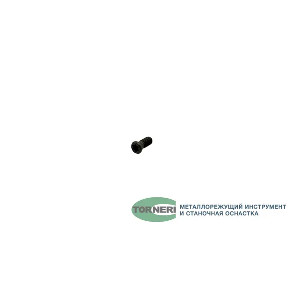 Винт М 4.0х10 для крепления пластин к державкам t027128  (Фото 2)