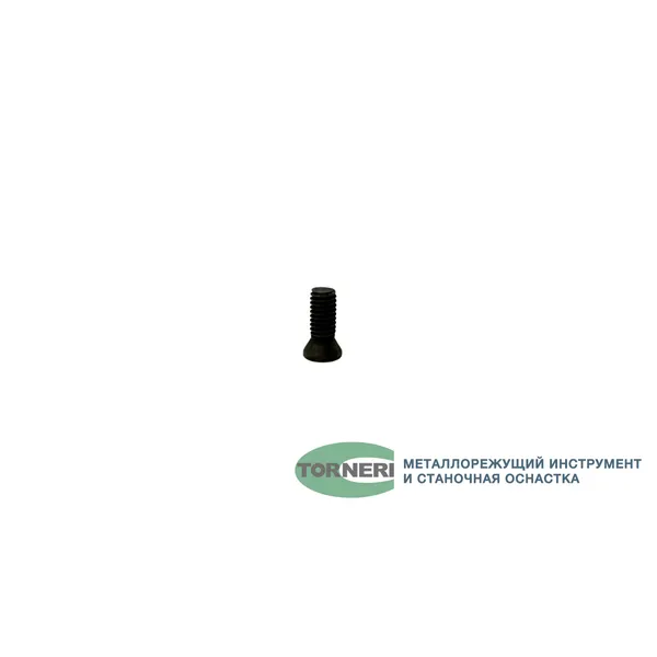 Винт М 4.5х12 для крепления пластин к державкам t027131  (Фото 2)