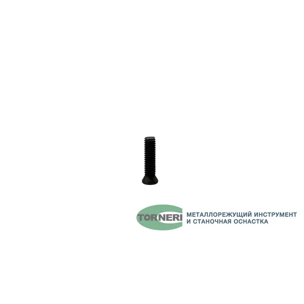 Винт М 5.0х20 для крепления пластин к державкам t027135  (Фото 2)