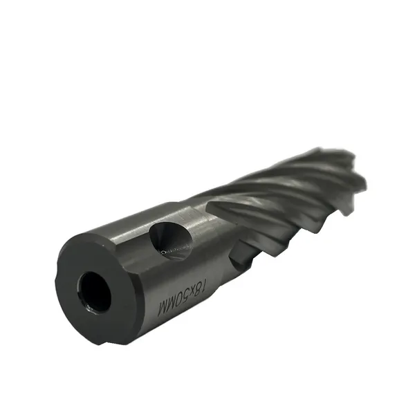 Сверло корончатое 18х50 мм, HSS, Universal / Weldon 19 t023631  (Фото 2)