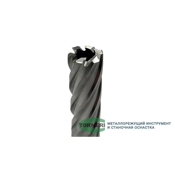 Сверло корончатое 19х50 мм, HSS, Universal / Weldon 19 t023632  (Фото 3)