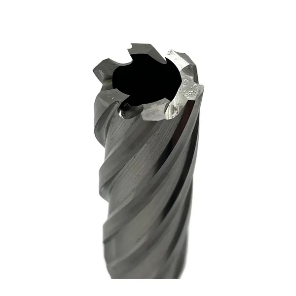 Сверло корончатое 22х50 мм, HSS, Universal / Weldon 19 t023635  (Фото 2)