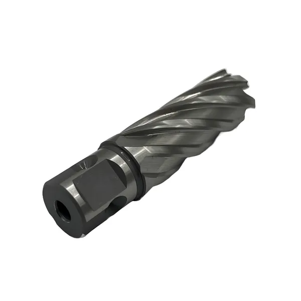 Сверло корончатое 22х50 мм, HSS, Universal / Weldon 19 t023635  (Фото 6)