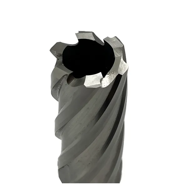 Сверло корончатое 24х50 мм, HSS, Universal / Weldon 19 t023637  (Фото 6)