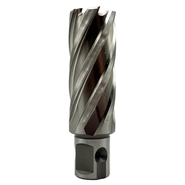 Сверло корончатое 25х50 мм, HSS, Universal / Weldon 19 t023638  (Фото 3)