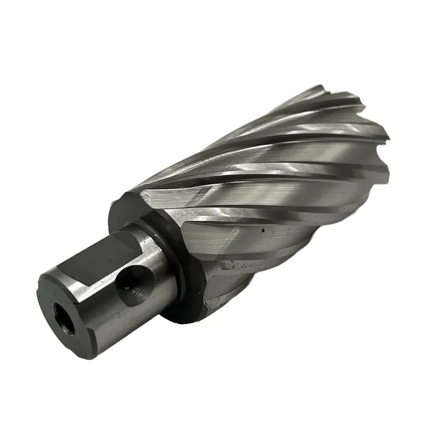 Сверло корончатое 32х50 мм, HSS, Universal / Weldon 19 t023643  (Фото 2)