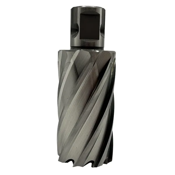 Сверло корончатое 33х50 мм, HSS, Universal / Weldon 19 t023644  (Фото 2)