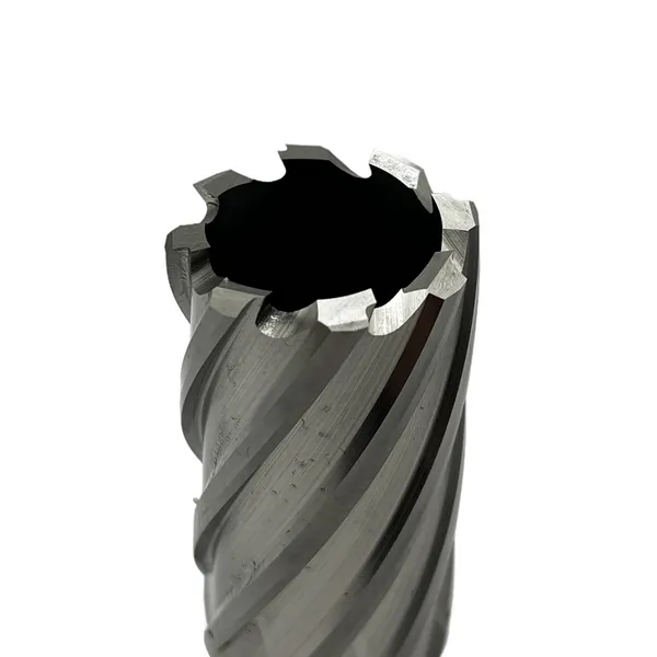 Сверло корончатое 33х50 мм, HSS, Universal / Weldon 19 t023644  (Фото 2)