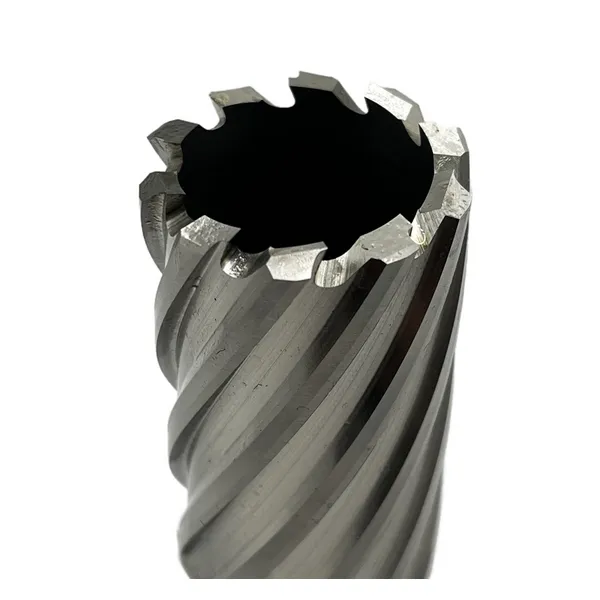 Сверло корончатое 35х50 мм, HSS, Universal / Weldon 19 t023645  (Фото 2)