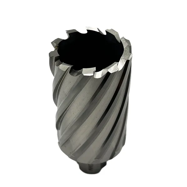 Сверло корончатое 40х50 мм, HSS, Universal / Weldon 19 t023647  (Фото 6)