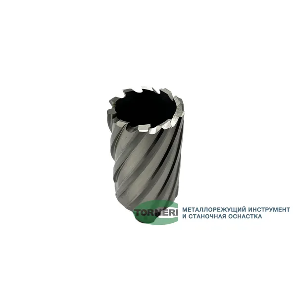 Сверло корончатое 40х50 мм, HSS, Universal / Weldon 19 t023647  (Фото 2)