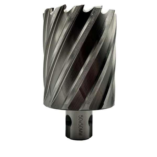 Сверла t023648 Сверло корончатое 50х50 мм, HSS, Universal / Weldon 19