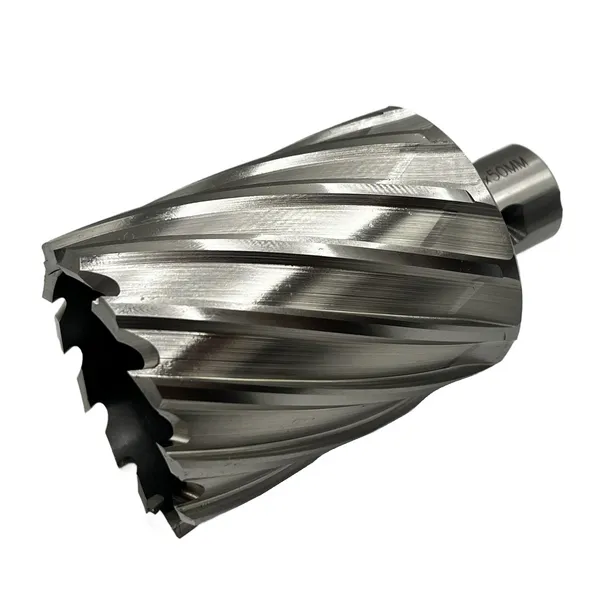 Сверло корончатое 50х50 мм, HSS, Universal / Weldon 19 t023648  (Фото 4)