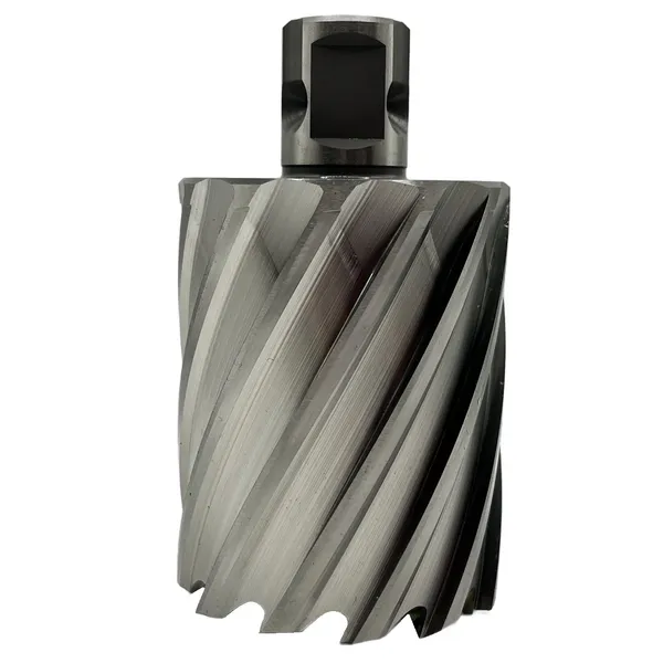 Сверло корончатое 50х50 мм, HSS, Universal / Weldon 19 t023648  (Фото 8)