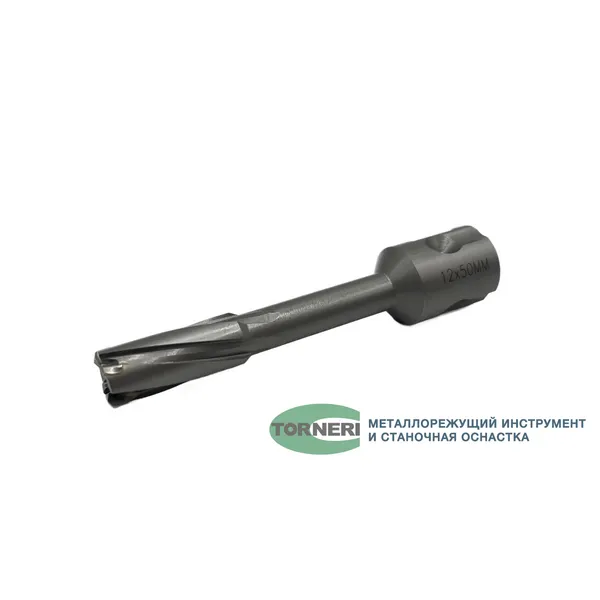 Сверло корончатое 12х50 мм, ТСТ, Universal / Weldon 19 t023649  (Фото 2)
