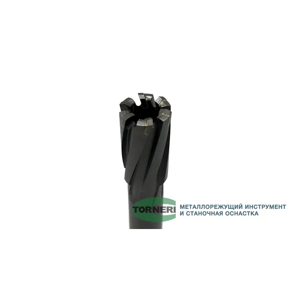 Сверло корончатое 16х50 мм, ТСТ, Universal / Weldon 19 t023652  (Фото 3)