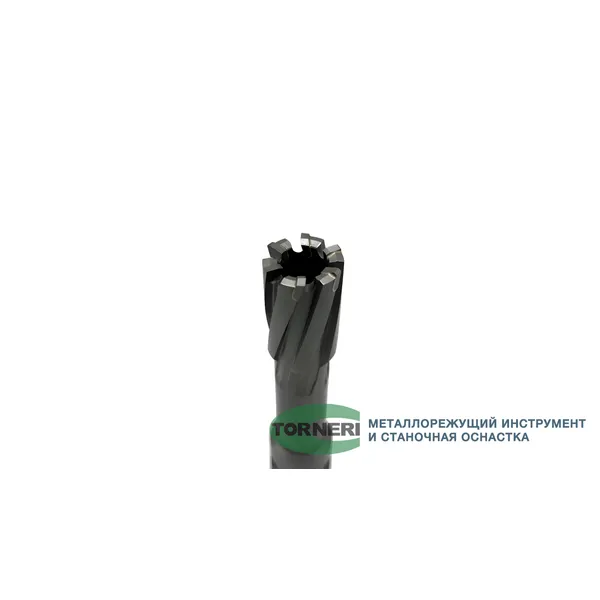 Сверло корончатое 19х50 мм, ТСТ, Universal / Weldon 19 t023654  (Фото 6)